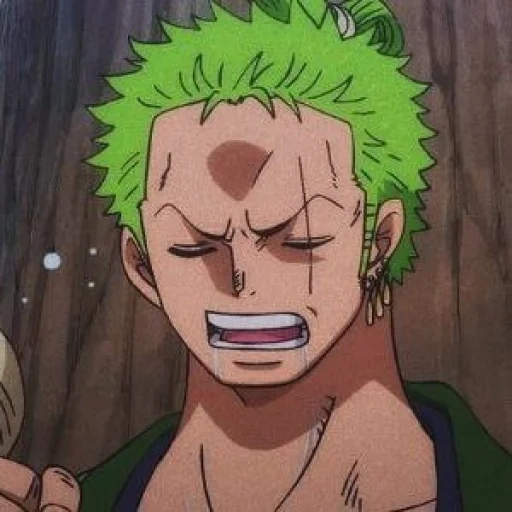 zoro, zoro van pis, roronoa zoro, une pièce zoro, zoro trichiliocosm