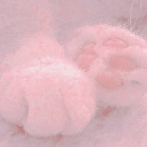 maguska, my steamed stuffed bun, my kitten, cat's paw, synthetic fabric