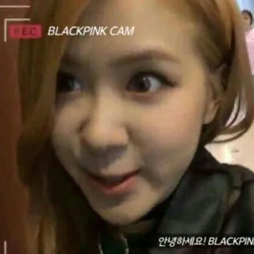 hitam pink, meme lucu, meme blackpink, gadis-gadis cantik, gadis korea