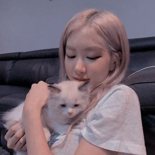 jennie, jenny king, blackpink, blackpink fox cat, 79089351494 arina budaeva magnitogorsk