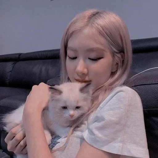 xyzbca, jenny king, blackpink, ariana grande, blackpink fox cat