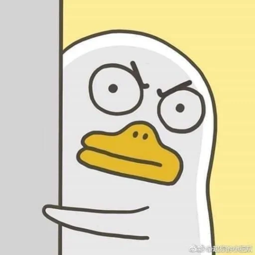 senhora, twitter, funny duck, imagem meme