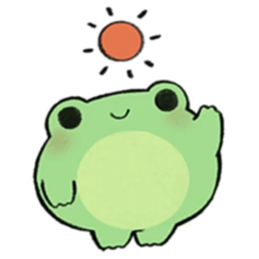 round frog, kawai frog, rana chuanensis, rana chuanensis, cute frog pattern