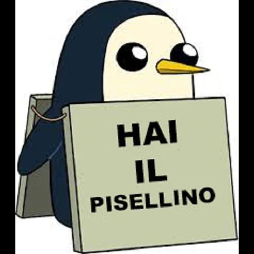 memes, gunter, memes memes, gunther wenk, comprimido de pinguim