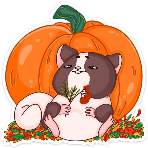 rudy, new competition, halloween pumpkin