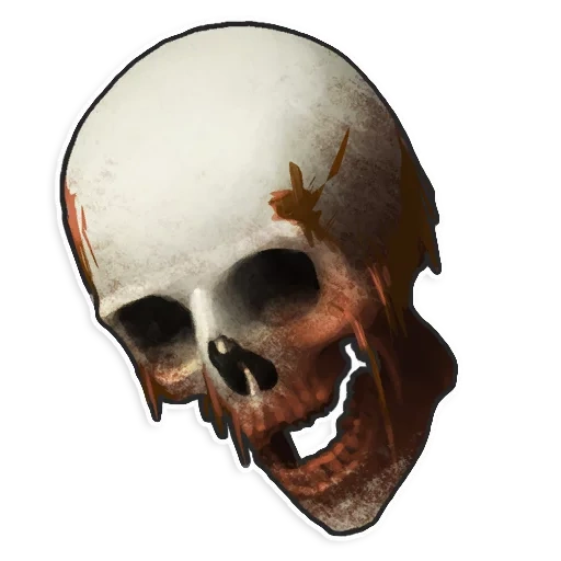 crâne, couleur crâne, squelette du crâne, crâne humain, crâne humain
