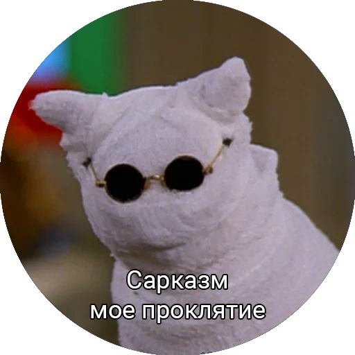 кот, коты, кот салем, кот сейлем, сарказм мое проклятие