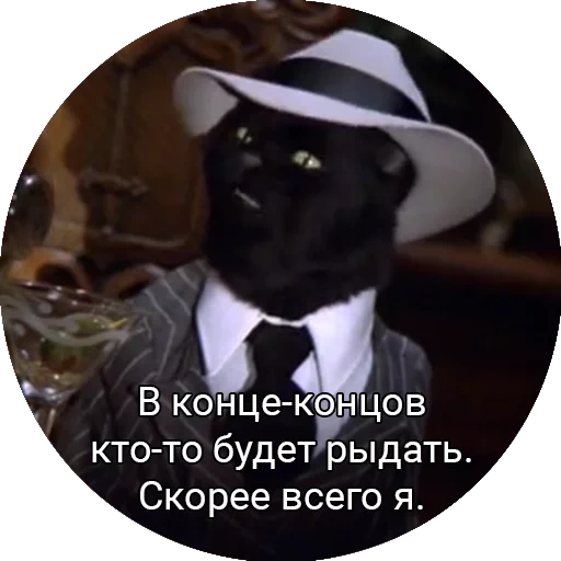 кот, кот салем, кот сэйлем, кот сэйлем шляпой