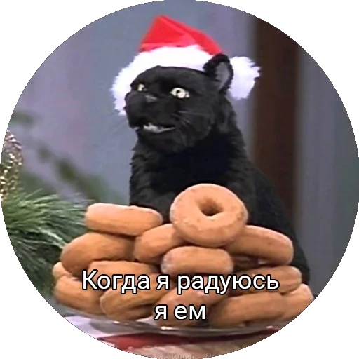 кот, salem cat, кот салем, кот салем рождество, кот салем новогодний