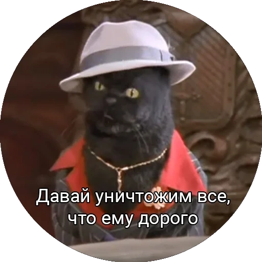 кот, кот салем, phinehastop, кот мафиозник, салем сабрина маленькая ведьма