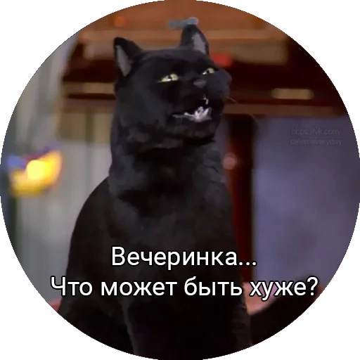 кот, кот салем, кот салем мемы, сабрина маленькая ведьма кот анне