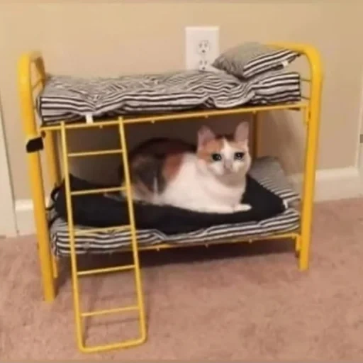 bed kotov ikea, cat sleeping place, double tier bed of cats, double tier bed of cats, diy bunk bed with your own hands