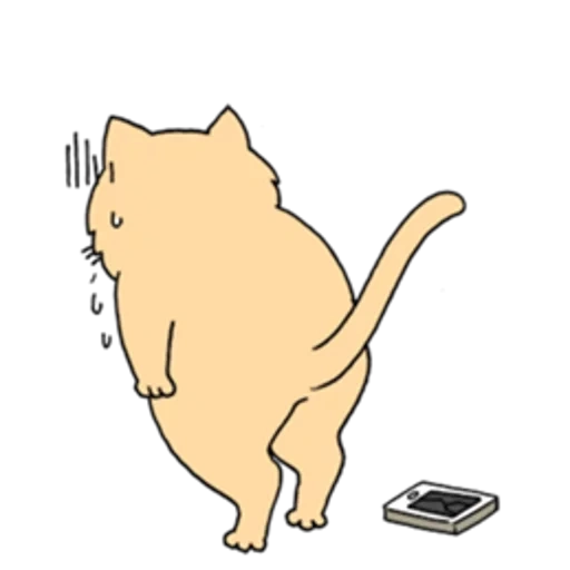 жирный кот, толстый кот, грустный толстый кот, грустный толстый котик