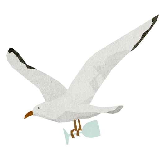 gaivota, pássaro de gaivota, gaivota, gaivota branca, gaivota branca