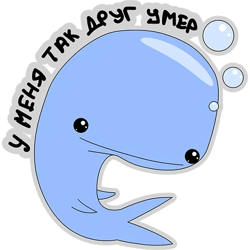 whale, whale, blue whale, funny whale sticker