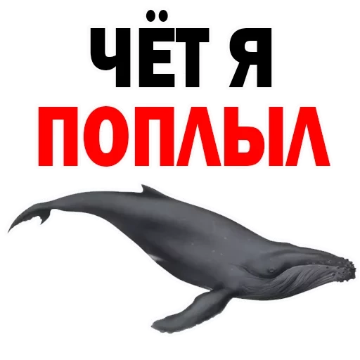 кит, киты, фигурка mojo sealife горбатый кит 387119
