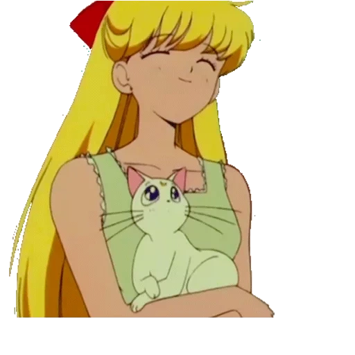 der seemann, sailor moon, venus der seemann, sailor venus rack, saylormun minako aino