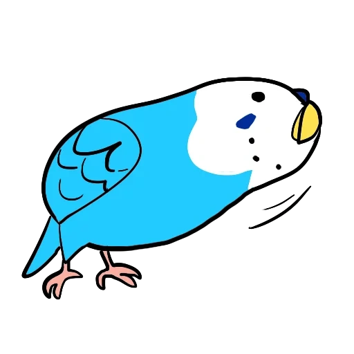 parrot, cute animals, the parrot is wavy, kawaii parrot, budgie