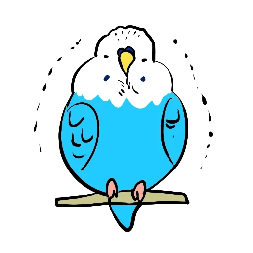 pappagallo, disegno di uccelli, uccello cartone animato, uccelli di illustrazioni, kawaii pappagallo