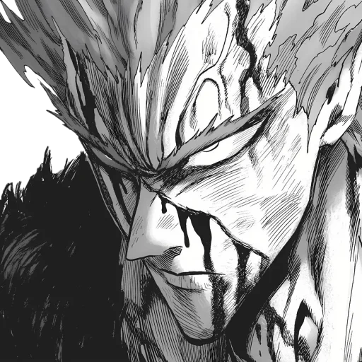 garu, harow, vanpanchman, manga vanpanchman, manga garou vanpanchman