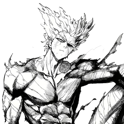 ванпанчмен, гарроу фьюриус, garou one punch, манга ванпанчмен, ванпанчмен бэнг гароу