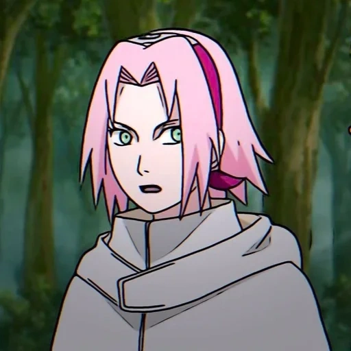 fiori di ciliegio, sakura naruto, sakura harunno, vite di cervo selvatico primaverile di ciliegio, sakuraru wildfire naruto