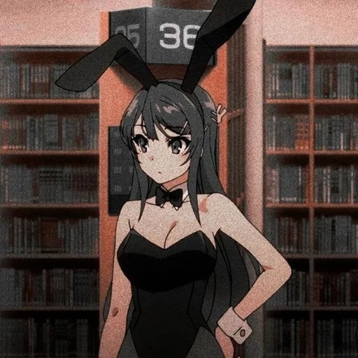 animação, menina anime, papel de animação, coelho senpai, seishun buta yarou wa bunny girl
