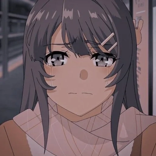 anime, anime frau, anime charaktere, sakuraudzima anime, seishun buta yarou