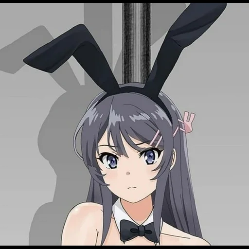 anime, sakurajima mai, anime characters, bunny girl senpai, pig does not understand the dream of a girl bunny
