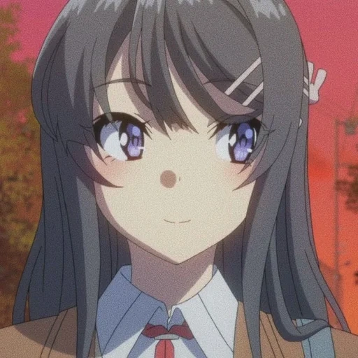 anime girls, may sakuraudzima, anime characters, seishun buta yarou, seishon buta yarou wa bunny