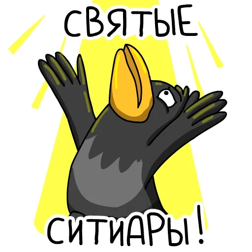 channel, funny, crow, crow bird