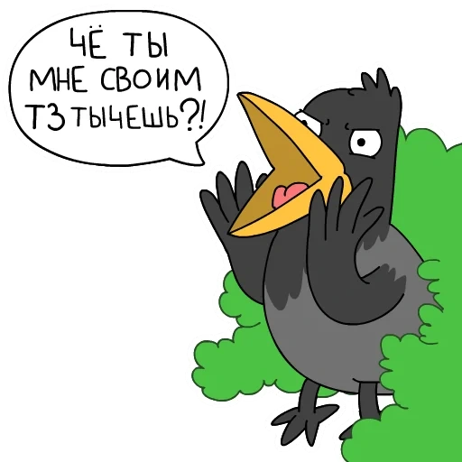 smm, raven d'oiseau, raven raven, blagues sur le corbeau, dessin animé corbeau