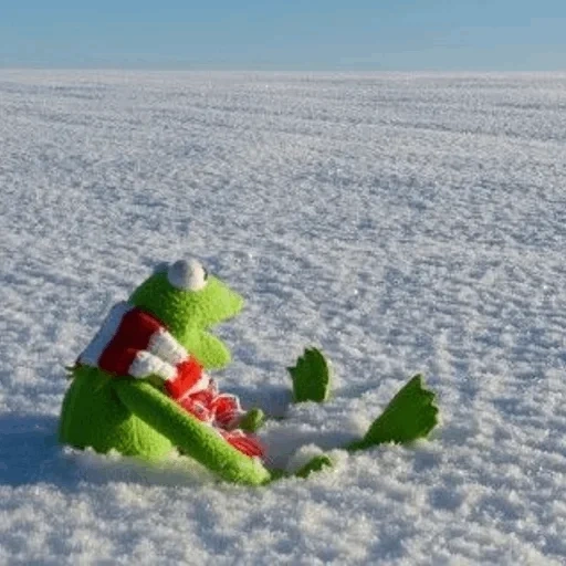 snow, snow frost, kermite snow, frog cermit, the frog kermite winter