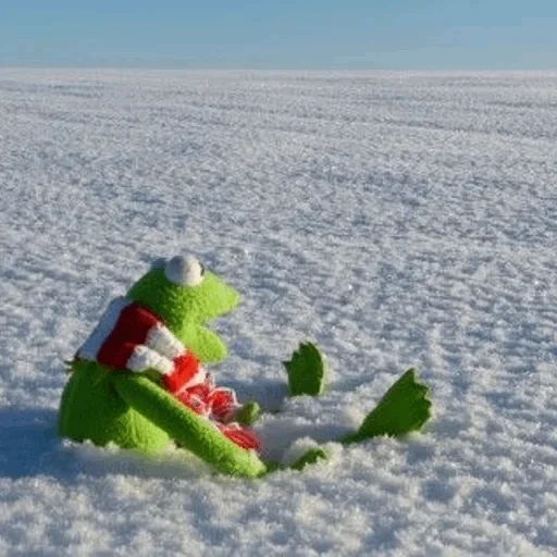 la neve, gelo di neve, neve a komit, kermit la rana, frog kermitt inverno