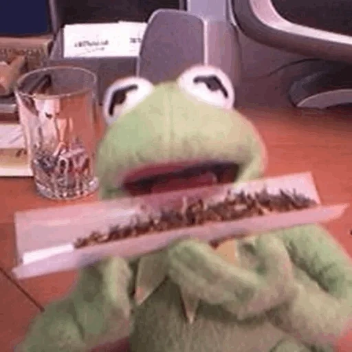 kemit, muppets show, kermit la grenouille, fumée de kermit de grenouille, kermit la grenouille fume de la marijuana