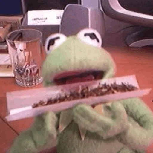 kermite, mappet show, frog cermit, the frog kermit smokes, frog cermit smokes jamb