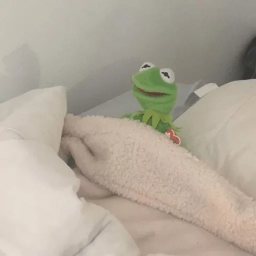 kemit, grenouille de komi, kermit la grenouille, kermit pepe la grenouille