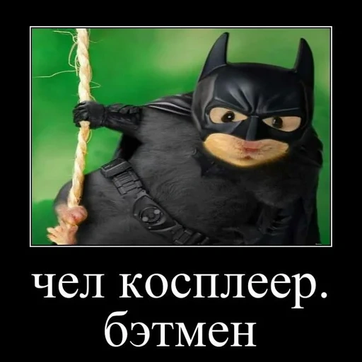 homem morcego, batman brinca, batman engraçado, piadas sobre batman, demotivadores de batman