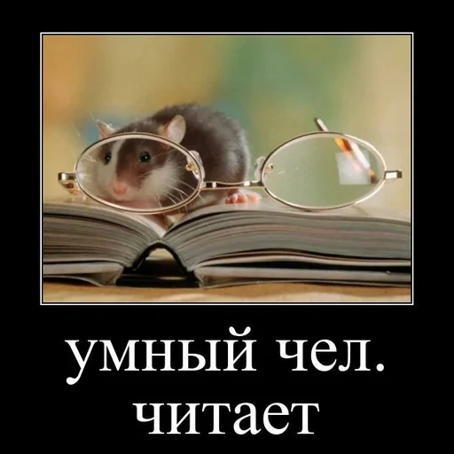 smart, books, we read, a wise man, cleverness is not fashionable
