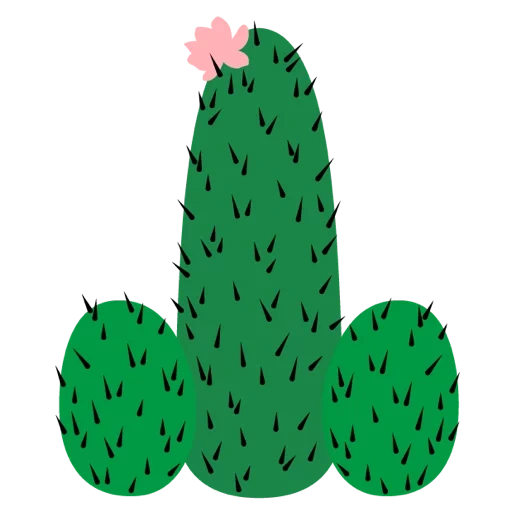 cactus, cactus, symbole de cactus, cactus à figue de barbarie, cactus des étoiles cactus des combats