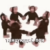 скриншот, обезьянки хоровод, танцующая обезьянка, счастливая обезьяна, мартышки водят хоровод