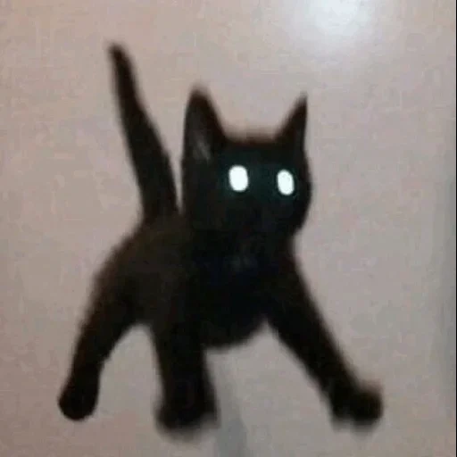 кот, котики, мяу 666, black cat, кошки кошмарить