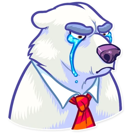 polar bear, белый медведь