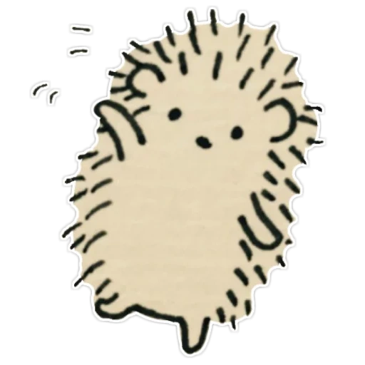 erizo, sasbales, dibujo de erizo, hedgehog srisovka, lindo dibujo de erizo