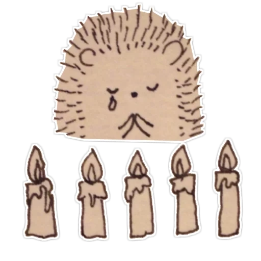 hedgehog, sasbalas, ilustração do ouriço, hedgehog picture creative