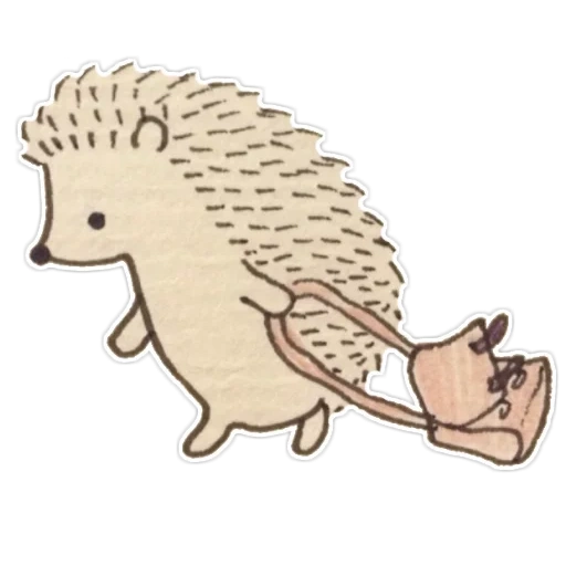 hedgehog, sasbalas, padrão de ouriço, desenhe um ouriço, ilustração do ouriço