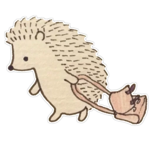 landak, sasbalas, menggambar landak, hedgehog srisovka, ilustrasi landak