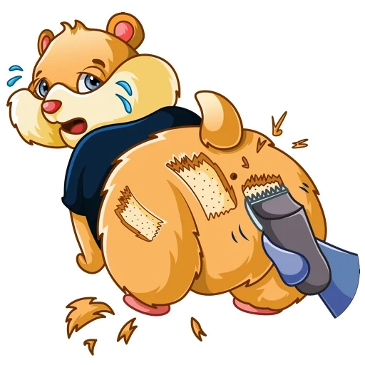 beruang, bear winnie, kartun bear cub, bear tedimultyashka