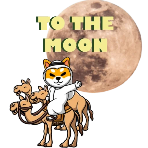 animation, shiba dog, shiba inu, shiba inu, to the moon dogicoin