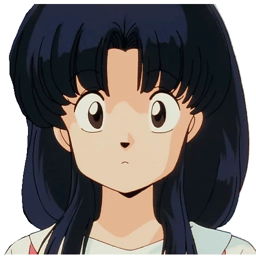 ranma, innius, picture, ranma 1/2, akane tendo